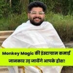 Monkey Magic Instagram Income